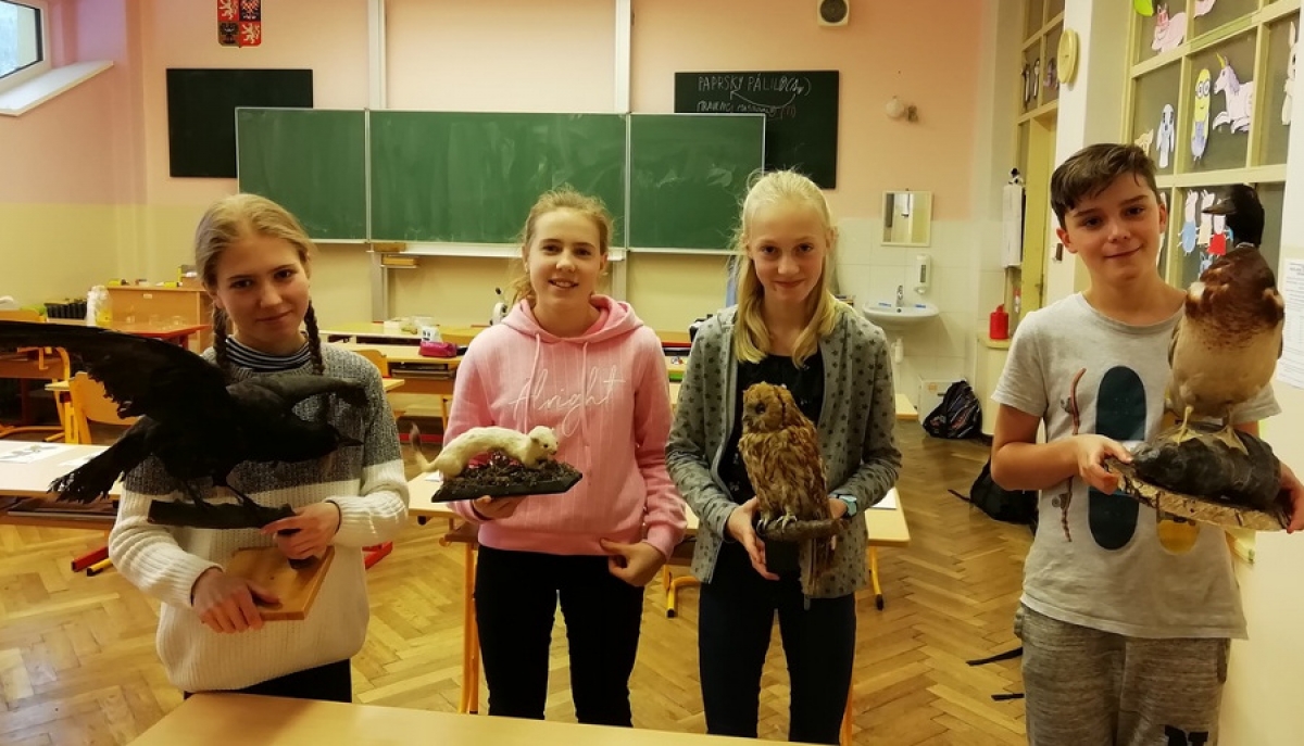Školní kolo biologické olympiády - Reportážní fotografie